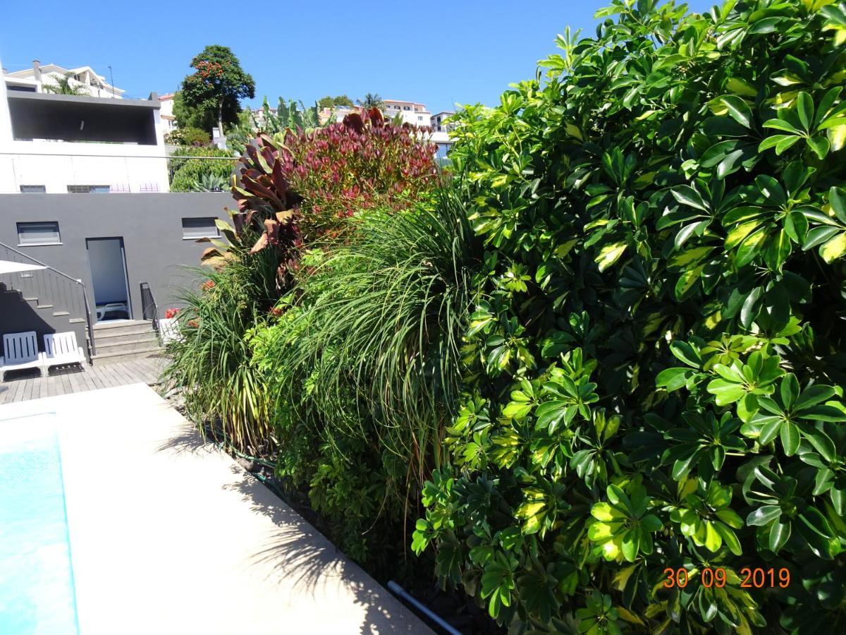 Loreto Luxury Arco da Calheta  Exterior foto